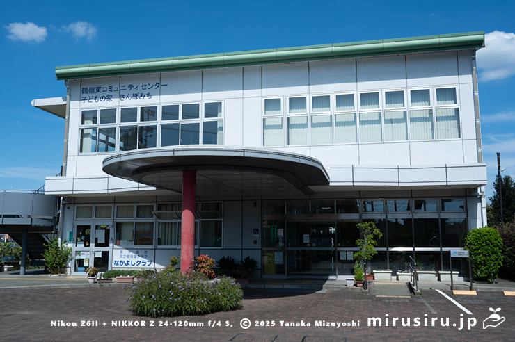 開花中のヤナギバルイラソウ　茅ヶ崎市・鶴嶺東コミュニティセンター　2025/09/24