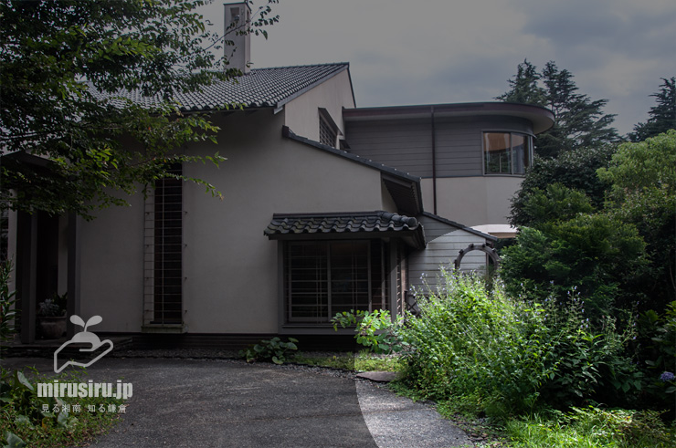 開花中のカリガネソウの大型になる草姿　横浜市戸塚区・俣野別邸庭園　2021/07/26