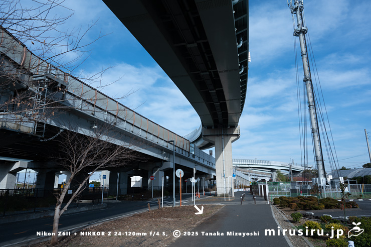 刈払われたポテンティラ・レプタンスが生えていた植え桝（白色矢印）　茅ヶ崎市西久保　2025/12/23