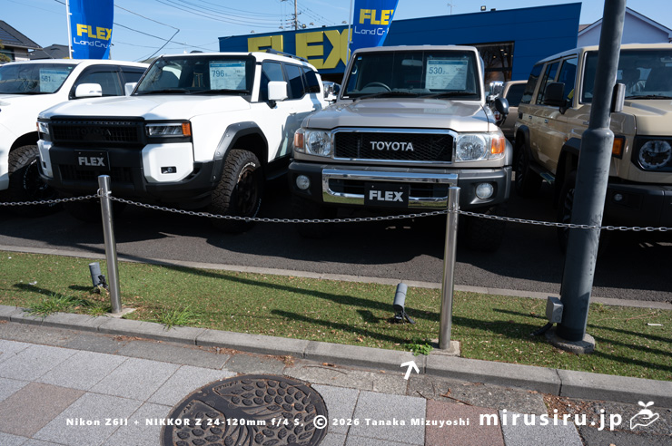 人工芝に帰化したニセカラクサケマン 相模原市南区・FLEXランクルJEEP横浜町田インター店 2026/02/14