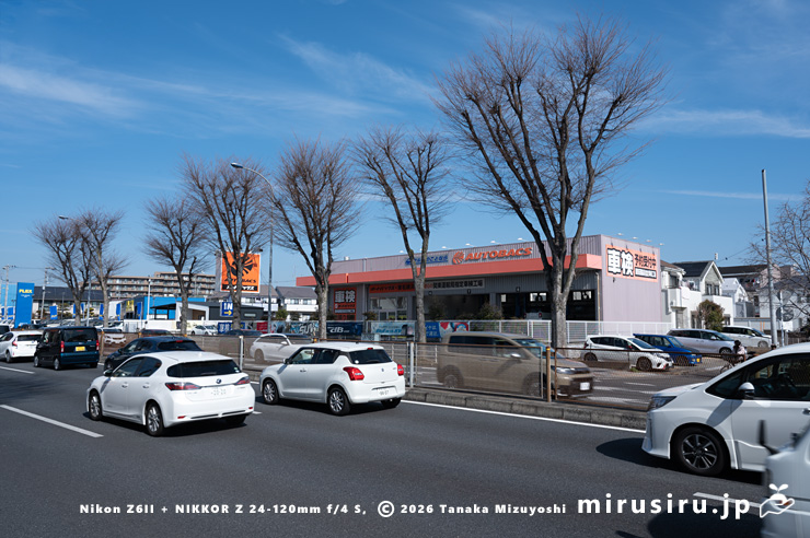 ニセカラクサケマンが帰化している国道16号線 相模原市南区上鶴間本町・オートバックス東名横浜店 2026/02/14